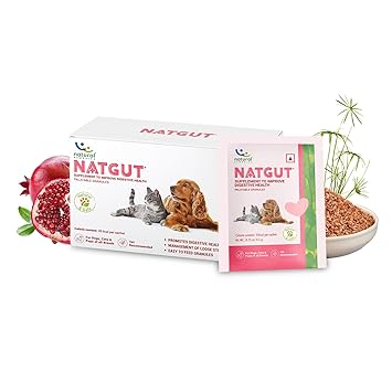 Natural Remedies Natgut Palatable Granules for Dogs & Cats, 30 Sachet (Pack of 1)