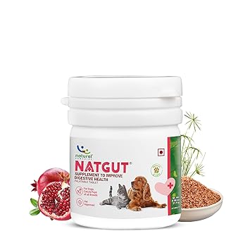 Natural Remedies Natgut Digestive 10 Tablet