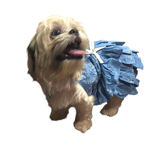 Furrfab Elegant Blue Female Dog Frock