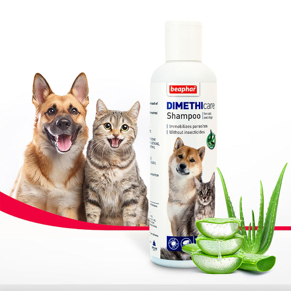 Beaphar Dimethicare Flea & Tick Shampoo for Dogs & Cat, 250ml Ingredients
