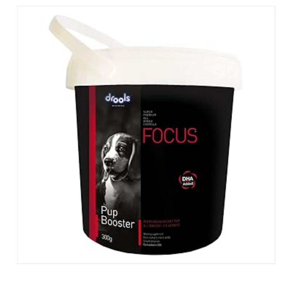 Drools Focus Pup Booster For Dog 300g Chicken 0.3 kg Dry Adult Dog Food