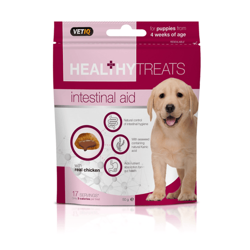 Mark & Chappell Healthy Intestinal Aid Dog Treats, 70g
