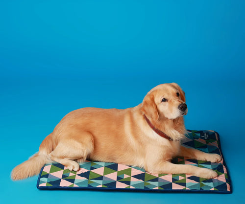 Furrfab Olive Prism Pet Mat for Dog & Cat