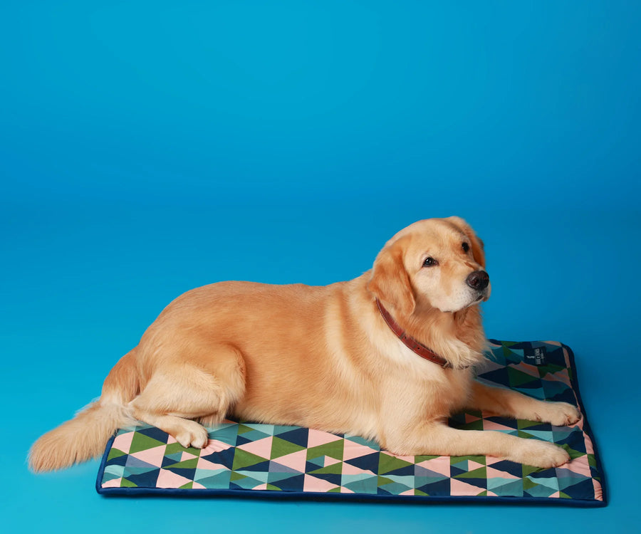 Furrfab Olive Prism Pet Mat for Dog & Cat