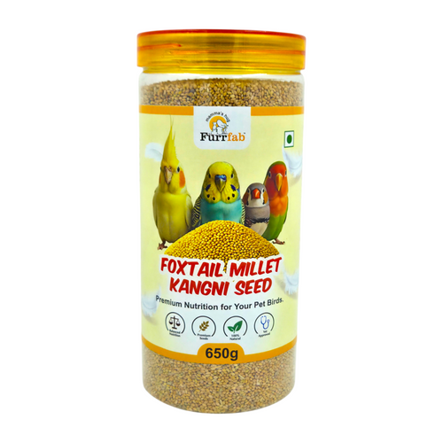 Furrfab Foxtail Millet (Kangni Seed), 650g | 100% Natural Daily Nutrition for Pet Birds