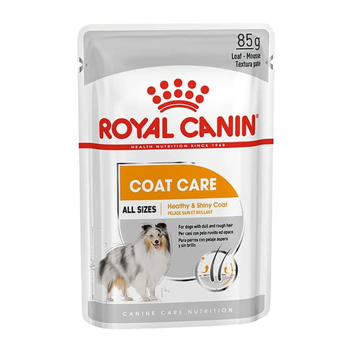 Royal Canin Coat Care Wet Food For Dog