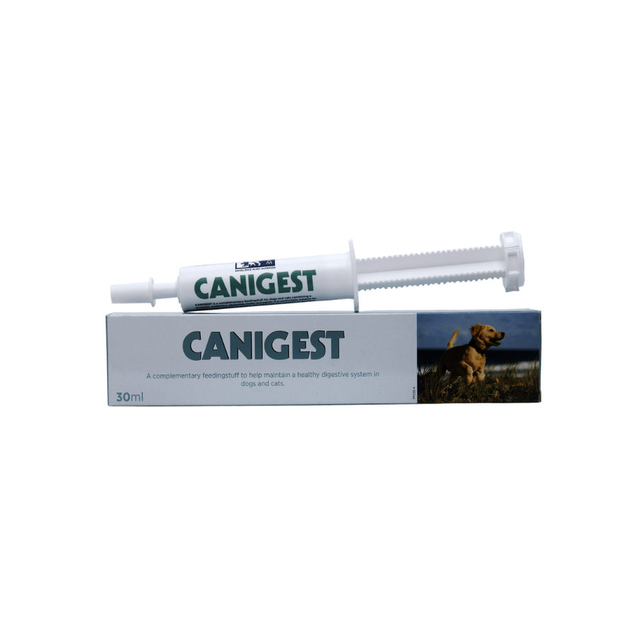 Vetina Canigest Probiotic Gastrointestinal Paste for Dogs & Cats, 30ml