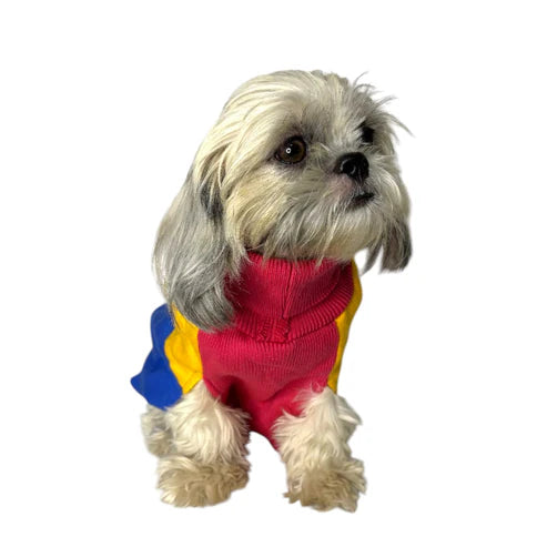 Furrfab Rainbow Dog Sweater for Winter - Warm & Stylish