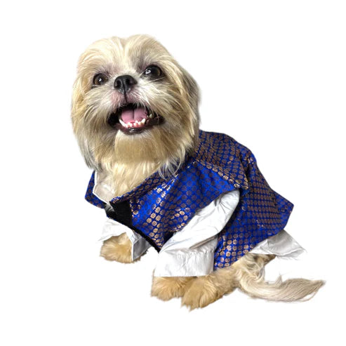 Furrfab Royal Dog Sherwani