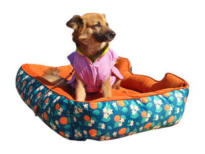 Furrfab Orange Floral Print Dog Bed