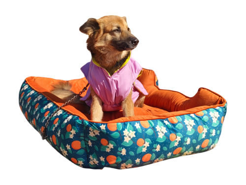 Furrfab Orange Floral Print Dog Bed