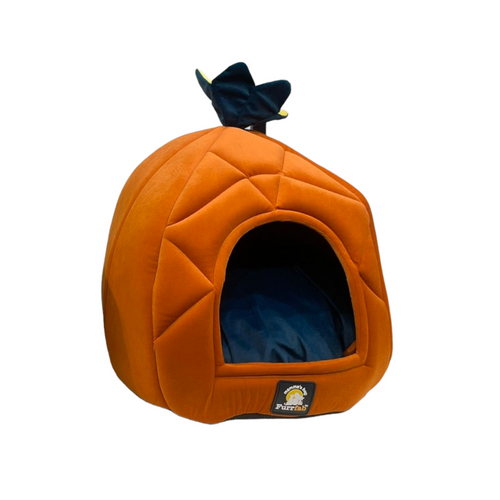 Furrfab Pineapple Cat House