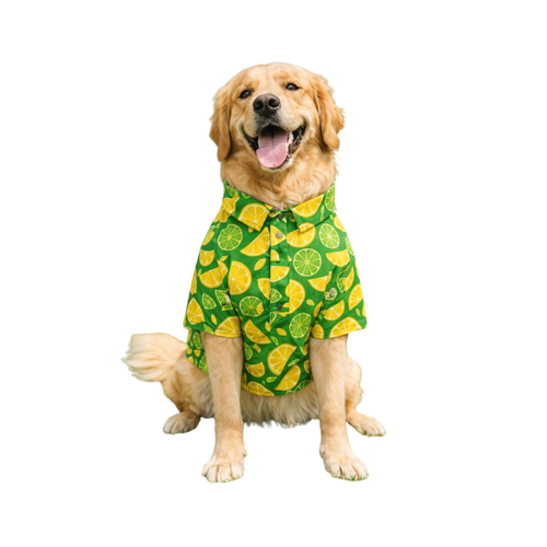 Furrfab Lemon Print Shirt for Dogs (Copy)