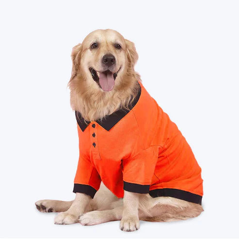 Furrfab Dogs Polo T-Shirt