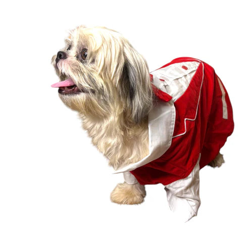 Furrfab Red Dog Tuxedo