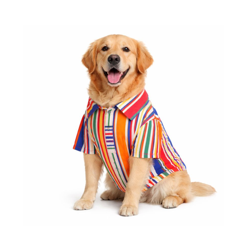 Furrfab Multicolor Strip Print Shirt for Dogs