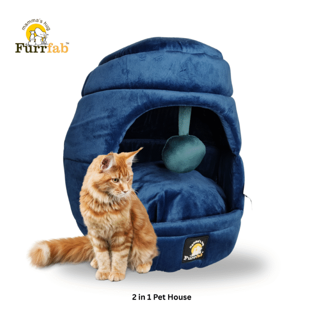 2 Way Cat House