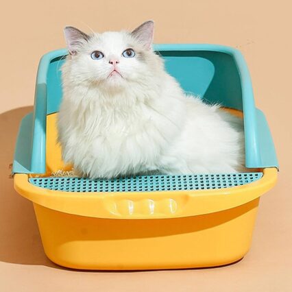 Cat Litter Supplies