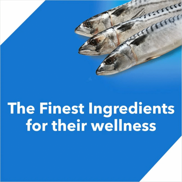 Drools Adult Dry Cat Food Ocean Fish 1.2kg Pack - Image 3