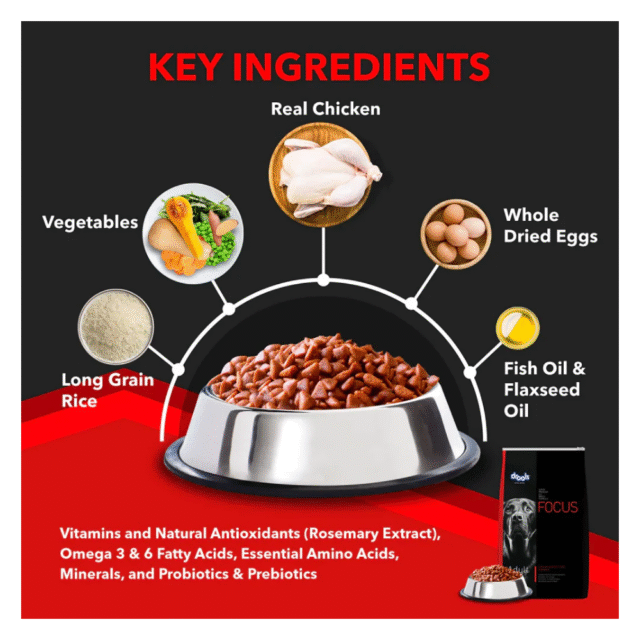 adult dog food