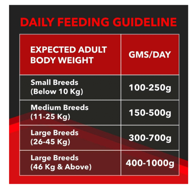 dog food