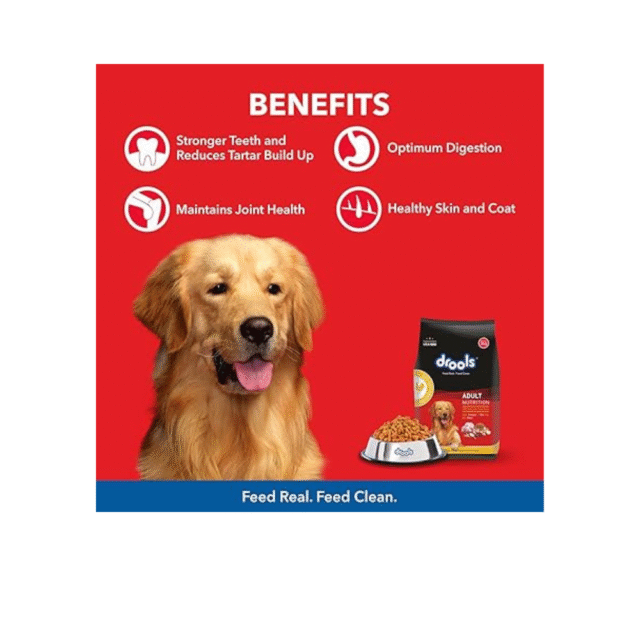 dog food