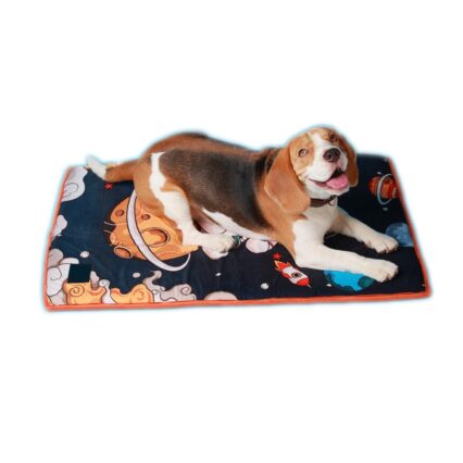 Pet Mat