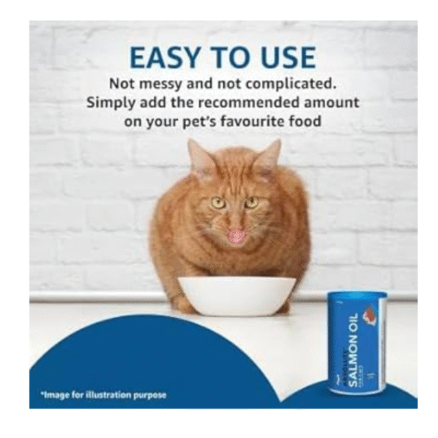 cat oil
