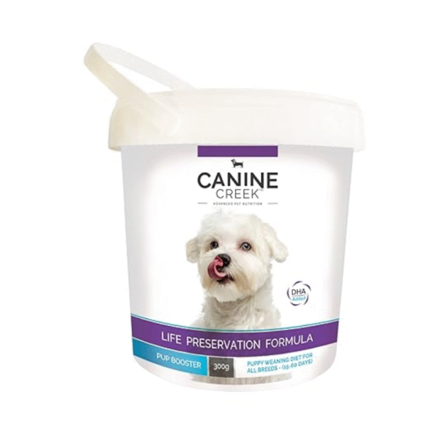 Dog food