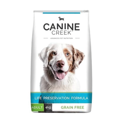 dog premium dry food