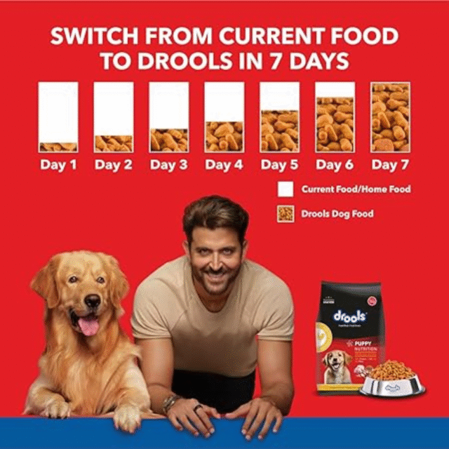 Drools Puppy Dry Dog Food, Chicken and Egg Flavor 20 kg Pack - Image 6