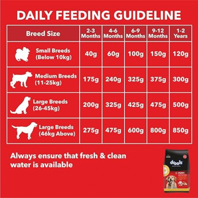 Drools Puppy Dry Dog Food, Chicken and Egg Flavor 20 kg Pack - Image 5