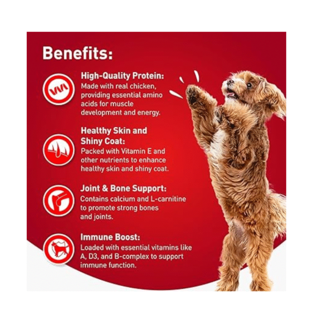 dog treat food