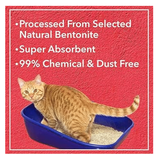 cat food
