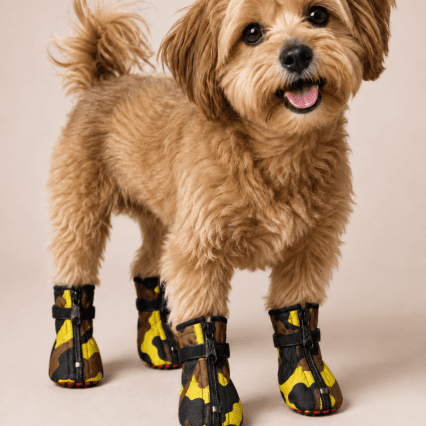 Camo blaze 1
