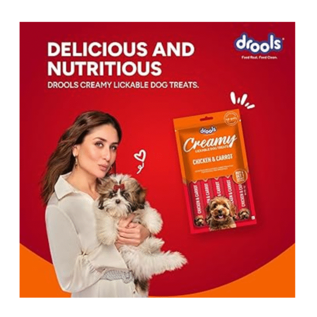 dog treat