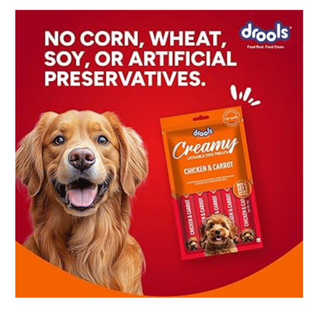 dog treat