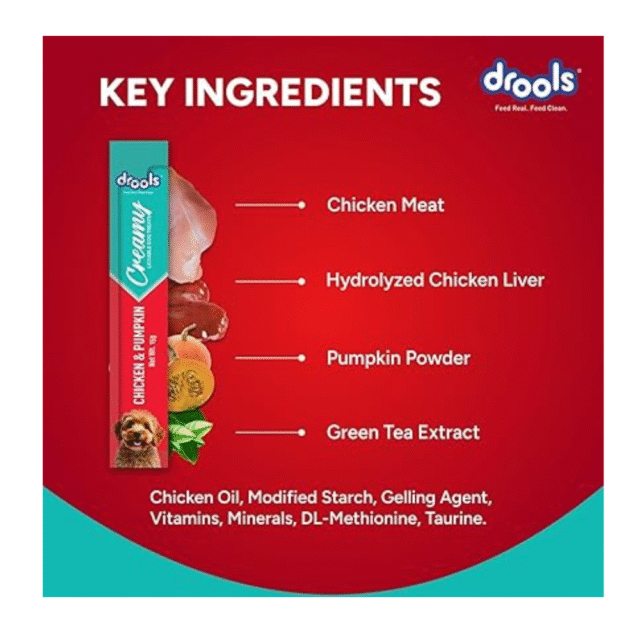 dog treat food