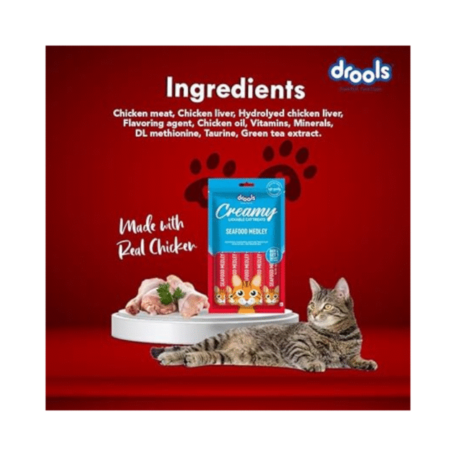 cat treat