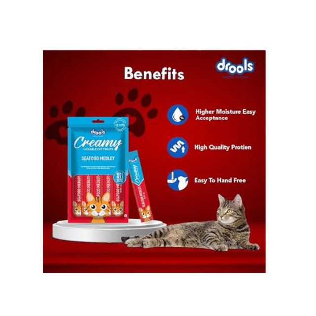cat treat