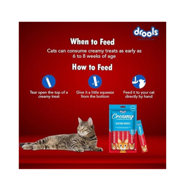 cat treat