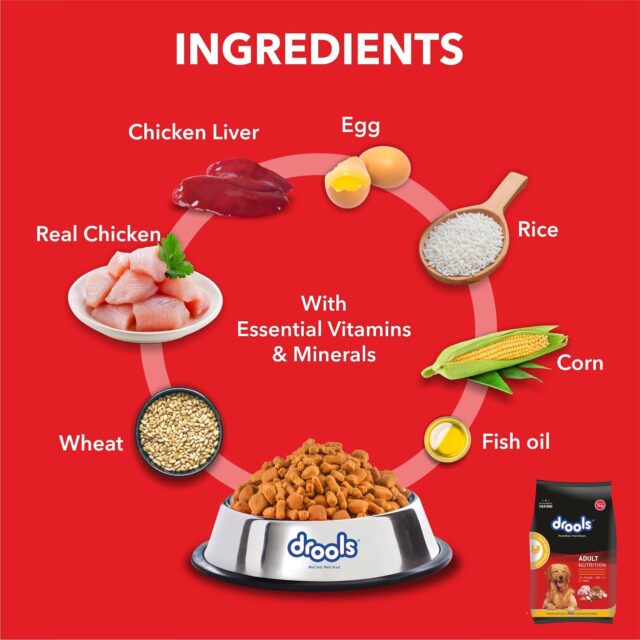 Drools Chicken & Egg Dry Adult Dog Food, 10 Kg - Image 6