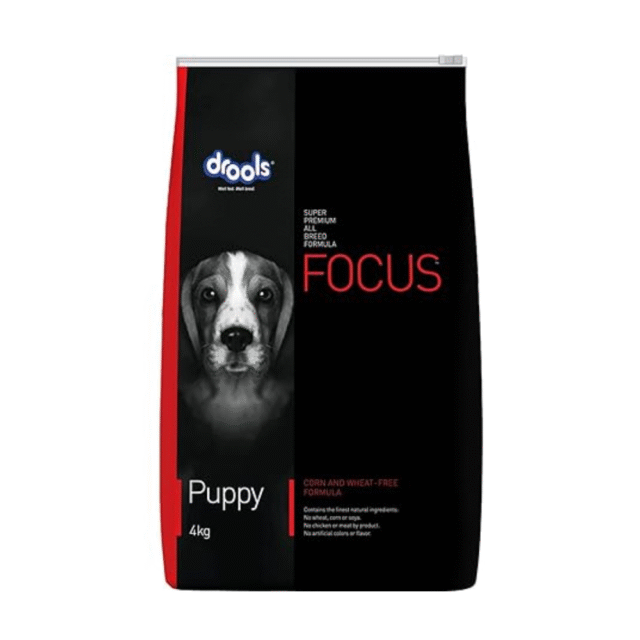 dog dry food