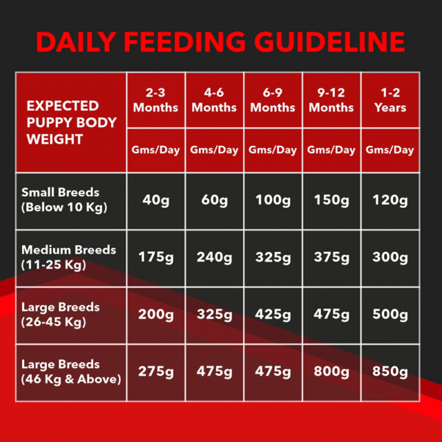 Drools Focus Puppy Super Premium Dry Dog Food, Chicken Flavor - Image 7