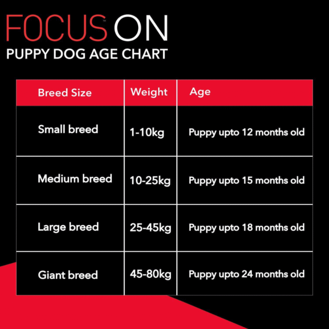 Drools Focus Puppy Super Premium Dry Dog Food, Chicken Flavor - Image 6