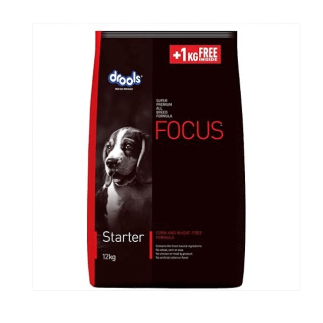 dog dry food