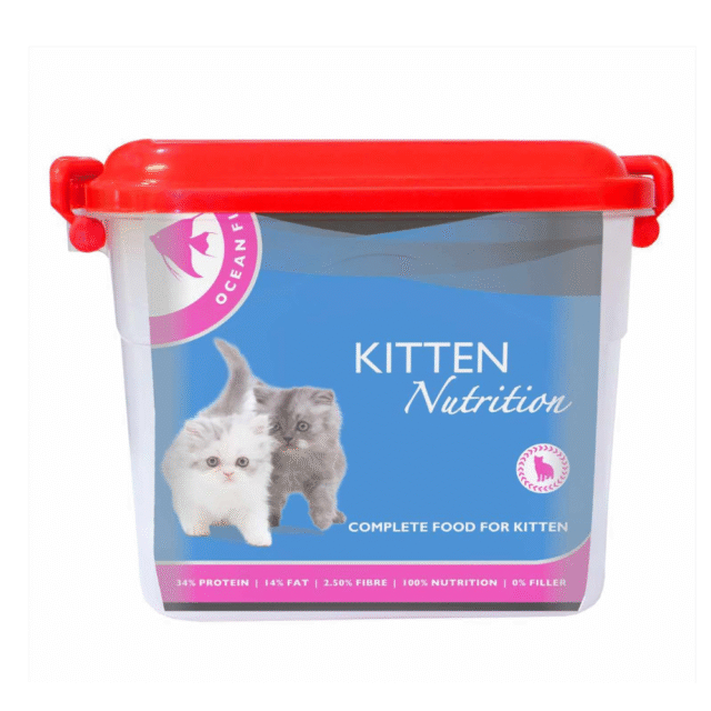 cat dry food kitten