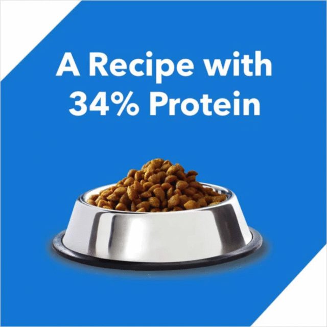 Drools Kitten Ocean Fish, 400g - for Cat - Image 3