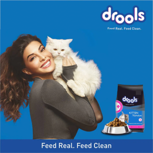 Drools Kitten Ocean Fish, 400g - for Cat - Image 4