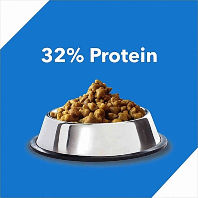 Drools Kitten Ocean Fish, 60 g Multipack - Image 5